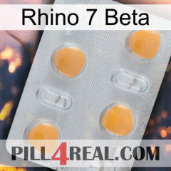 Rhino 7 Beta 24